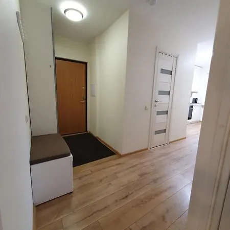 Dainai 1-Bedroom Apartament. Šiauliai Extérieur photo