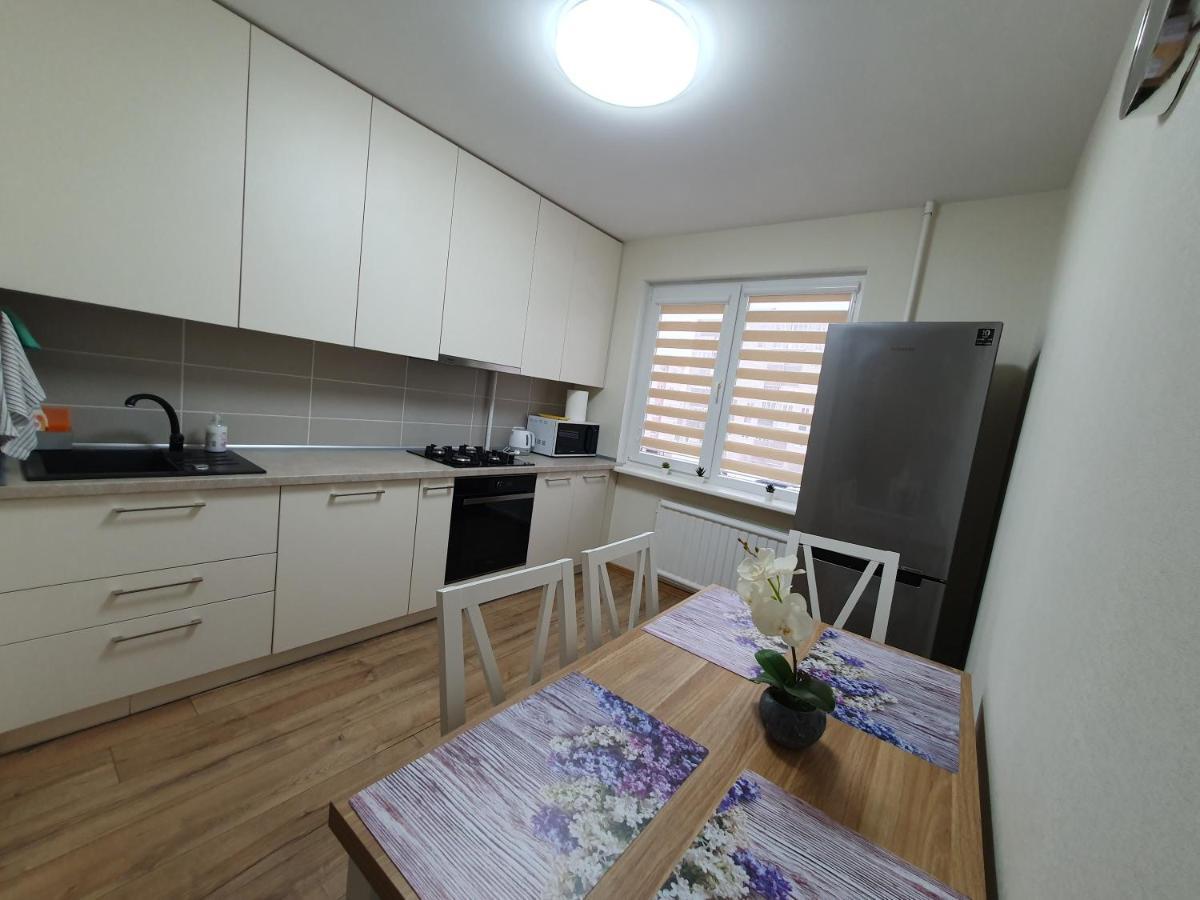 Dainai 1-bedroom Apartament. Apartment Siauliai (Siauliai)